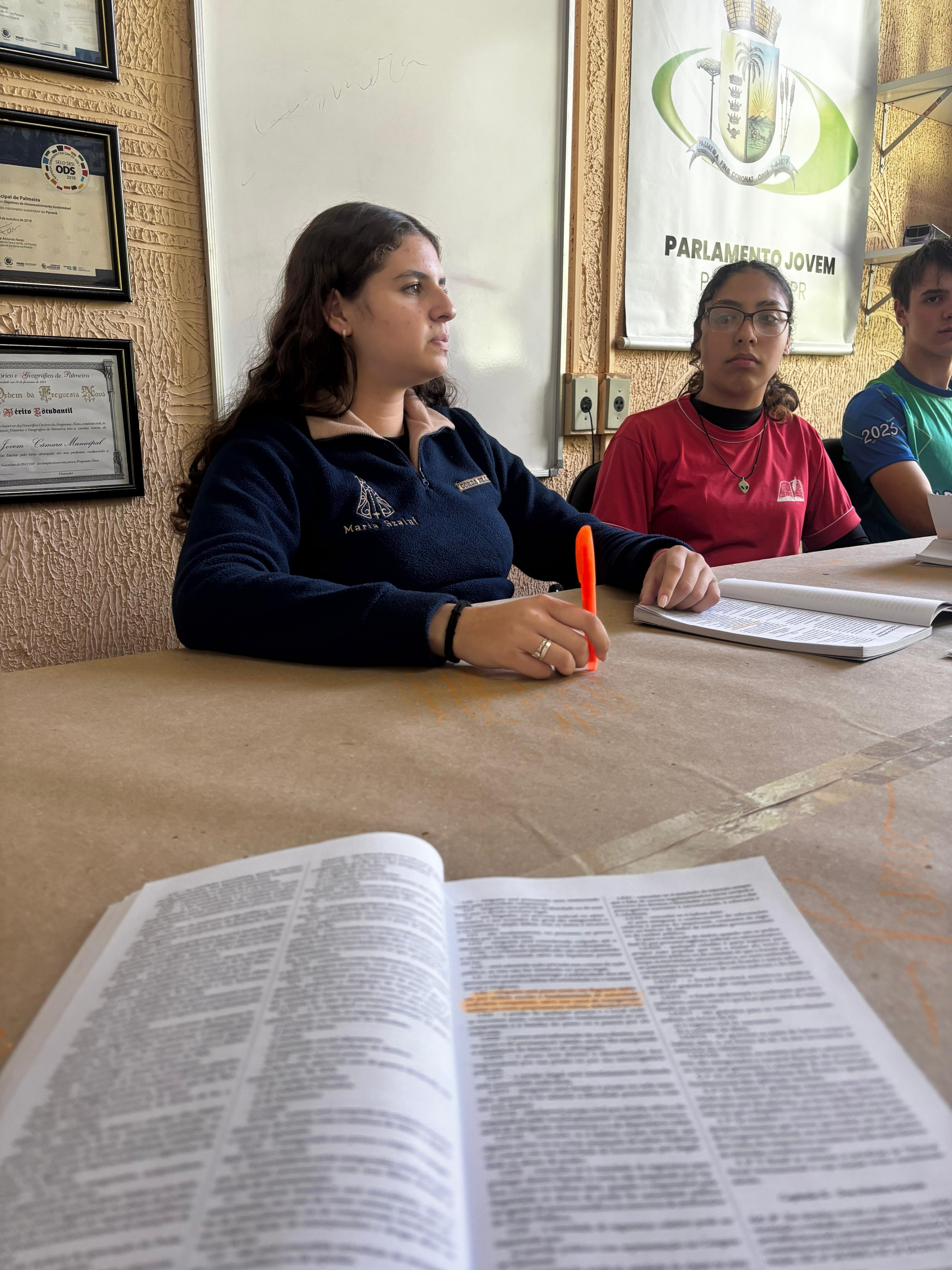 WhatsApp Image 2025-04-22 at 14.36.07.jpeg